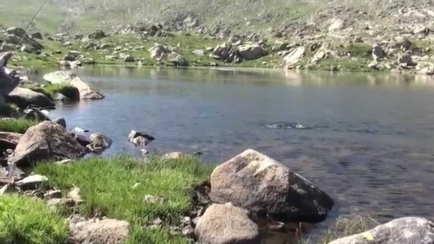 Los mejores spots de pesca con mosca en Andorra: tu guía completa