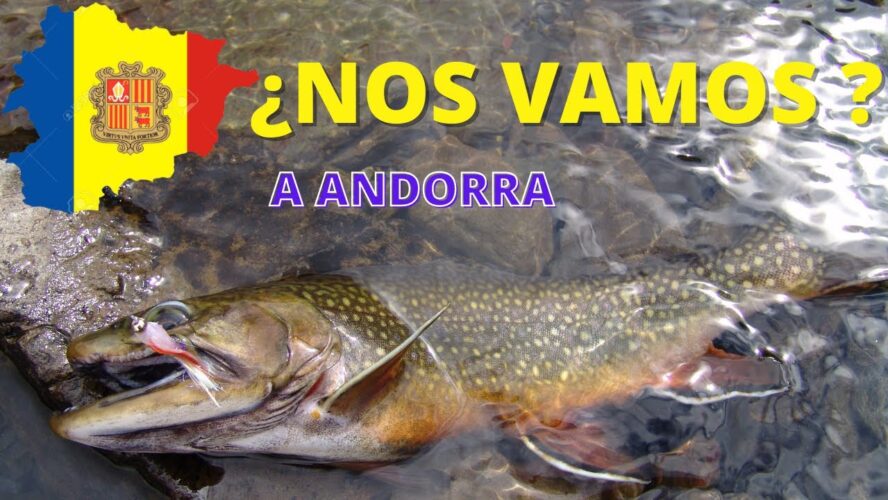Descubre las mejores tiendas de pesca en Andorra